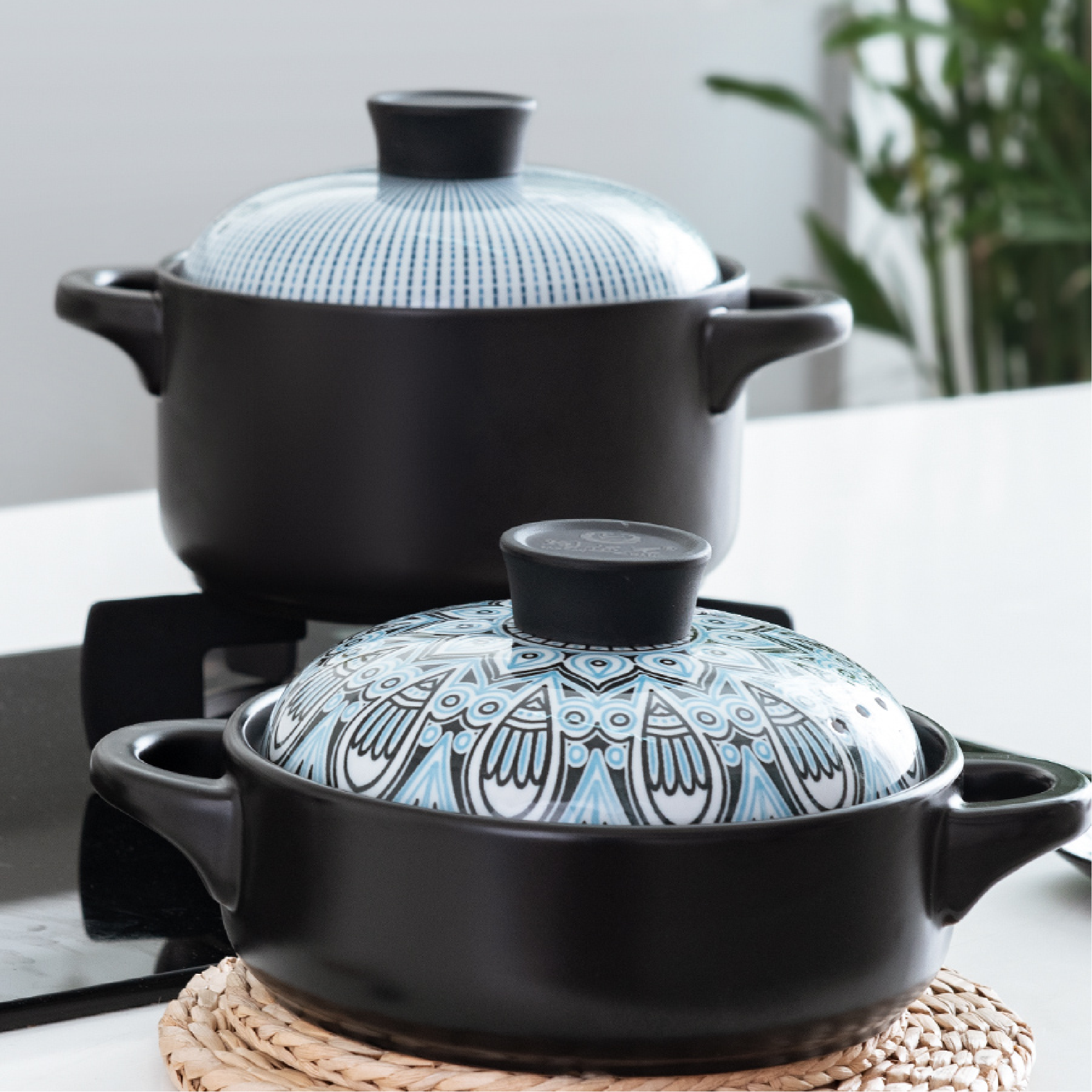 Japanese Double Handle Pot
